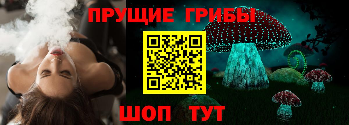 Свободный  Галлюциногенные грибы мухоморы  Галлюциногенные грибы Cubensis  Вход с VPN 